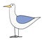 Seagull flat color illustration on white