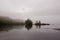 A seagull flies above a quiet misty bay