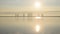 Seagull flies around over calm water surface