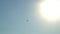 Seagull flies in blue cloudless summer sky above beach and lifeguard tower