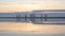 Seagull flies over calm water surface of lake or river