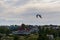 Seagull flies over Luoto island with white red roofed Art Nouveau style villa