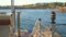 a seagull flies over the sea and the beach and sits on the pier.