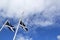 Seagull flies over St. Andrew Flag on blue sky