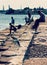 Seagull Flies on Pier