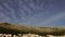 A seagull flies in the sky over a boat dock near the walls of the old city of Dubrovnik in Croatia.