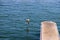 a seagull in flight over deep blue ocean water near the docks at Burton Chace Park