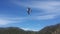 Seagull in flight over Ionian sea