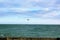 Seagull in flight over water, bird