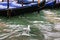 Seagull floats near gondola in Grand Canal