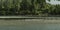 A Seagull flock on bow river banks