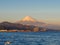 Seagull fly and Mt. Fuji background