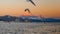 Seagull fly and Mt. Fuji background