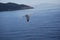 A seagull flying on the Aegean Sea