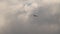 Seagull flying against the cloudy sky background