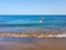 seagull is flying on the beach of Los Pocillos almost flush with the water of the Atlantic Ocean in Lanzarote, Canary Islands,