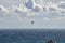 Seagull Flying in Cloudy Sky Over the Black Sea