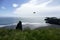 Seagull flying at Dyrholaey cliffs, Iceland