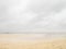 A seagull flying on the fine sandy  beaches of the Langeog island in Germany in Autumn