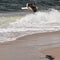 Seagull flying low on the coastline with its shadow on the sand