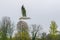 Seagull flying over autumn trees