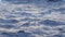 Seagull flying over blue water background. Stock. Seagull flies over the sea