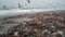 Seagull flying over dirty coastline, surrounded by garbage dump chaos