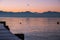 Seagull Flying over Leman Lake and Iconic Mont-Blanc Snowy Peak