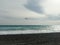 Seagull flying over pebble beach of Nice, France with azure waves of mediterranean sea