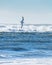 Seagull flying over the rough waves in the ocean. Bright scene