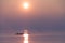 Seagull Flying over Rowing Team Training over Shimmering Lake at Sunset