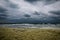 Seagull flying over the stormy sea in autumn