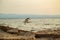 The seagull flying and searching for food along the Greece coast.â€‹ A gullâ€‹ is flying above the sea