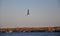 A seagull flying in the sky over the autumn horizon.