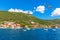 Seagull flying by Yachts and Villas in the Bay of Kotor, Adriaric coastline, Montenegro