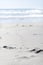 Seagull footprints leading along a white sands beach towards the ocean on a bright summer day