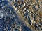 Seagull Footprints in Mud on Bottom of Receded River.