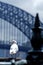 A seagull in front of Harbour bridge