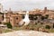 Seagull in front of old buildings in rome, italy