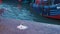 Seagull in front of stingray fish on concrete floor at dock