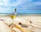 Seagull and glass of wine on wooden table top at beach resort   sea landscape ,blue sky,marine water sunny day relaxation leisure