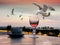 Seagull on gold sunset pink glass of wine and cup of coffee on restaurant table at pier sea port of Tallinn Promenade