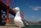 Seagull by Golden Gate Bridge
