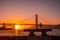 Seagull on the Golden Gate Bridge in USA during a sunset