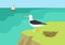 Seagull gull nest beach flat cartoon vector wild animals birds