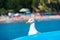 Seagull head portrait. Gull is hiding behind a blue ocean kayak. Blurred busy summer beach