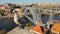 Seagull on house roof. Porto old town ribeira promenade view