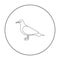 Seagull icon in outline style isolated on white background. Bird symbol stock vector illustration.