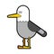 Seagull isolated. gull Bird marine. Vector illustration