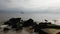 Seagull on Jetty in Atlantic Ocean on Cloudy Day.